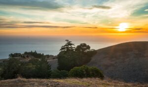 When a Phone Call Isn’t Enough: How In-Home Care Helped a Mill Valley Senior Regain Her Health and Her Family Find Peace of Mind